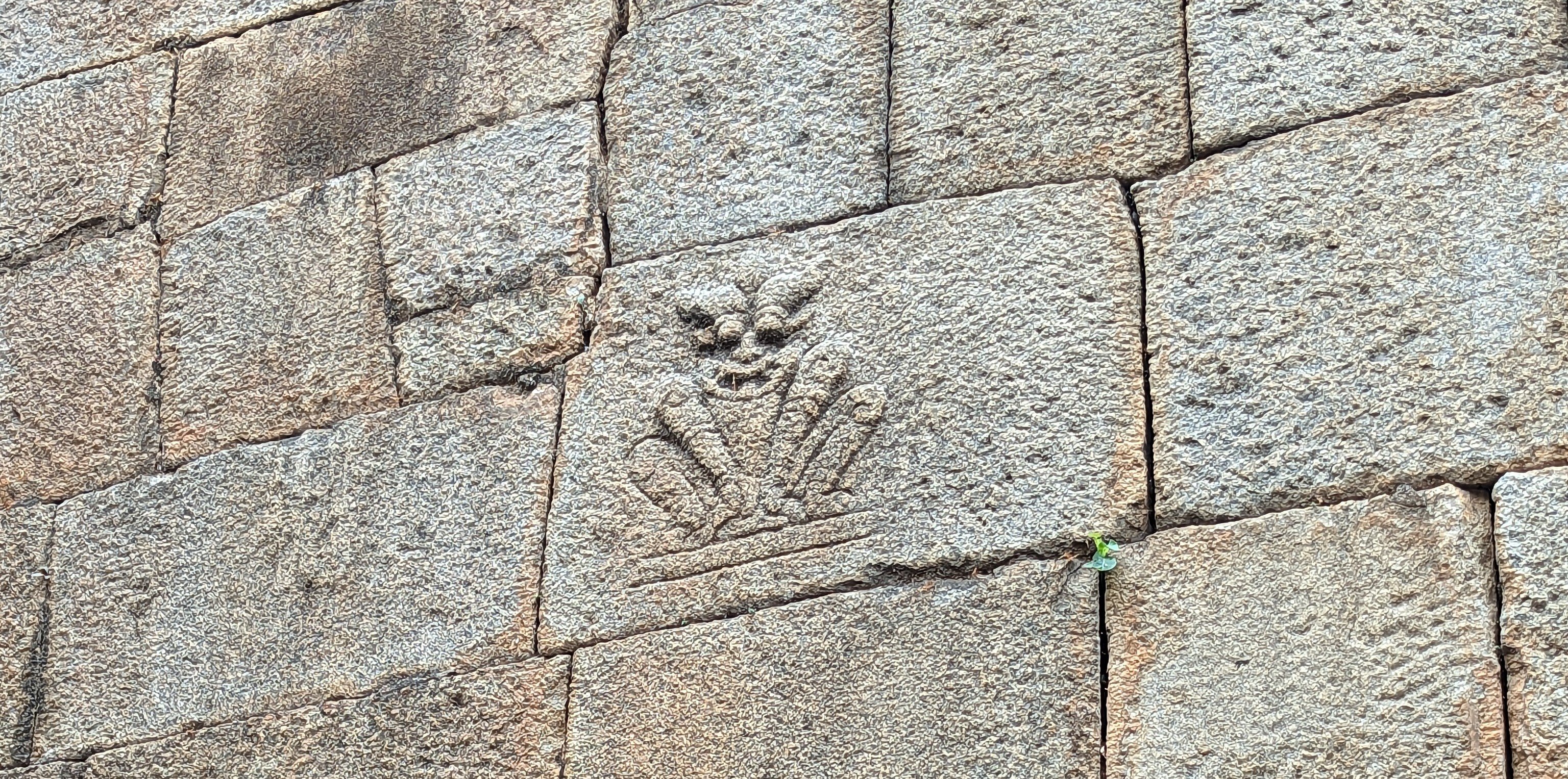 bengaluru-fort-lion-carving