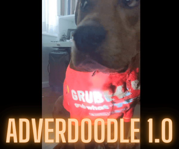 AI-powered Ad Delivery on Dogs